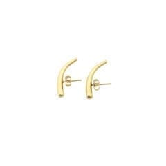 In Ear earrings gold plated