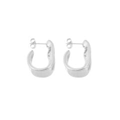 Dent earrings