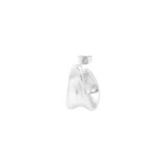 Dent earrings