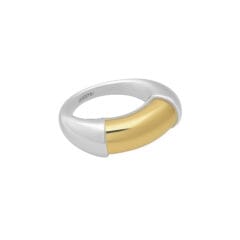 Duo linked ring